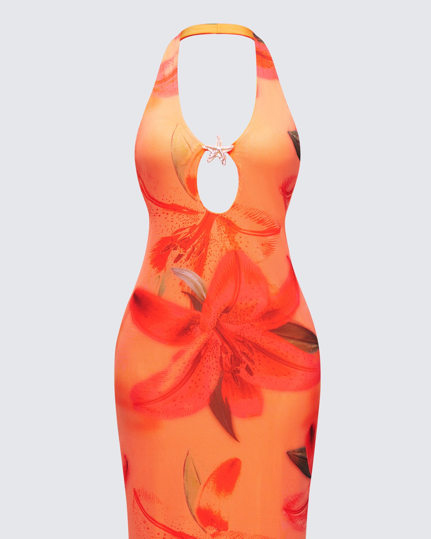 Evana Multi Printed Mesh Maxi Dress