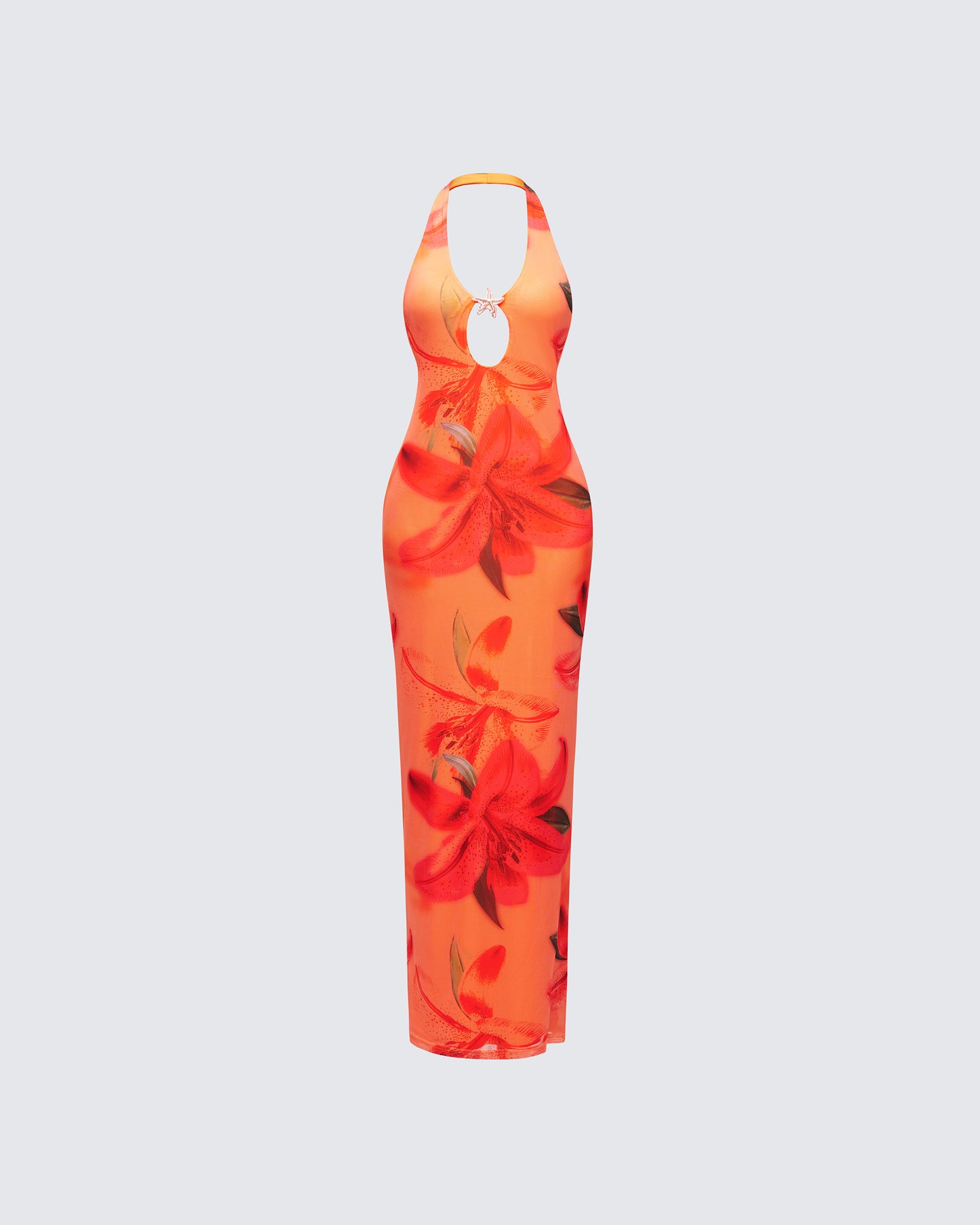Evana Multi Printed Mesh Maxi Dress