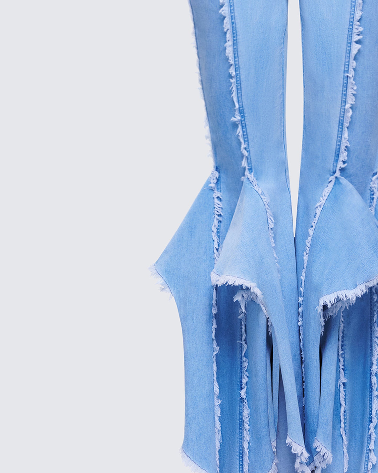 Reagan Blue Denim Frayed Jean