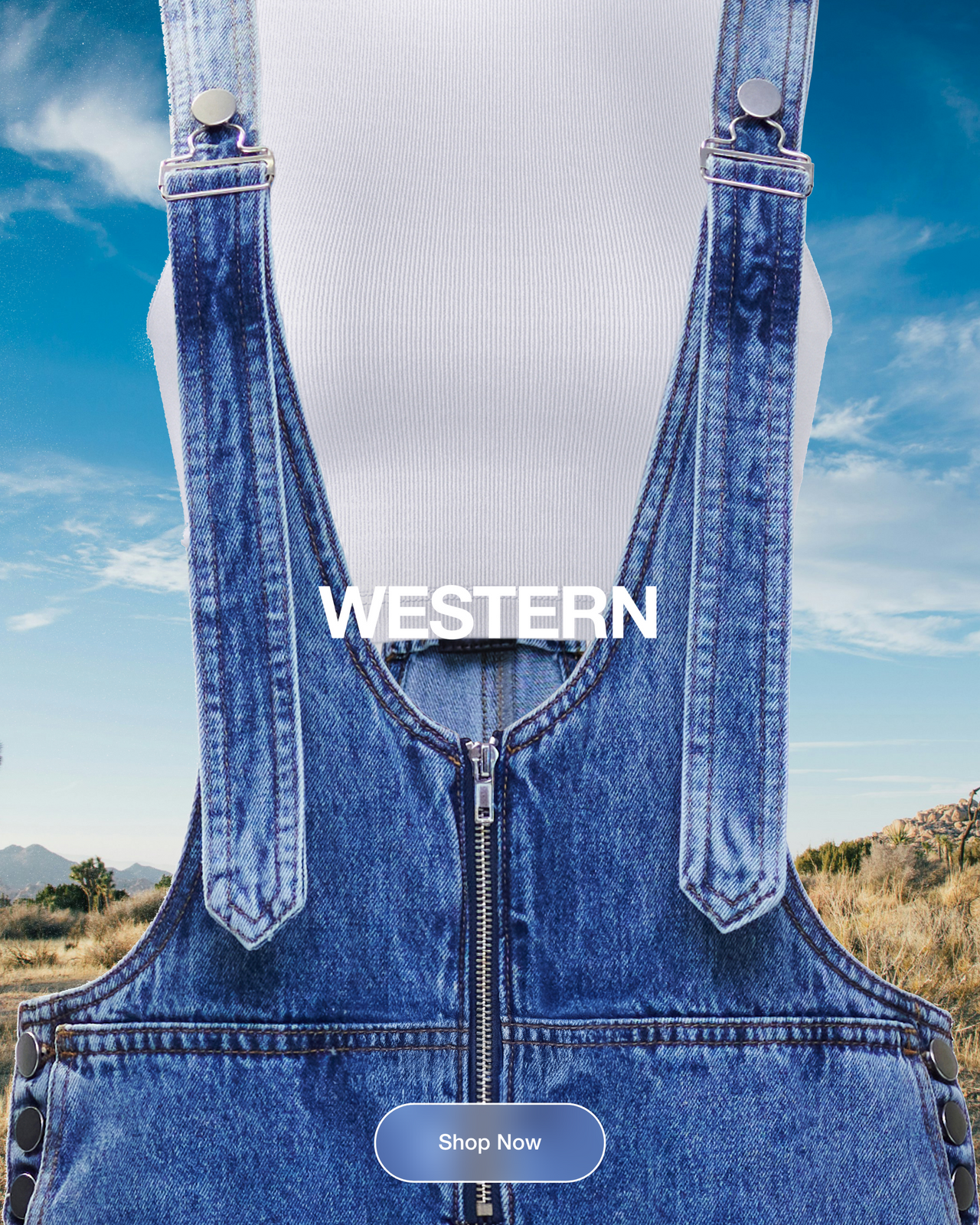Wild West