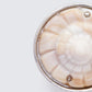 Olivienne Silver Seashell Ring