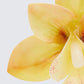 Sabine Ecru True Orchid Earrings
