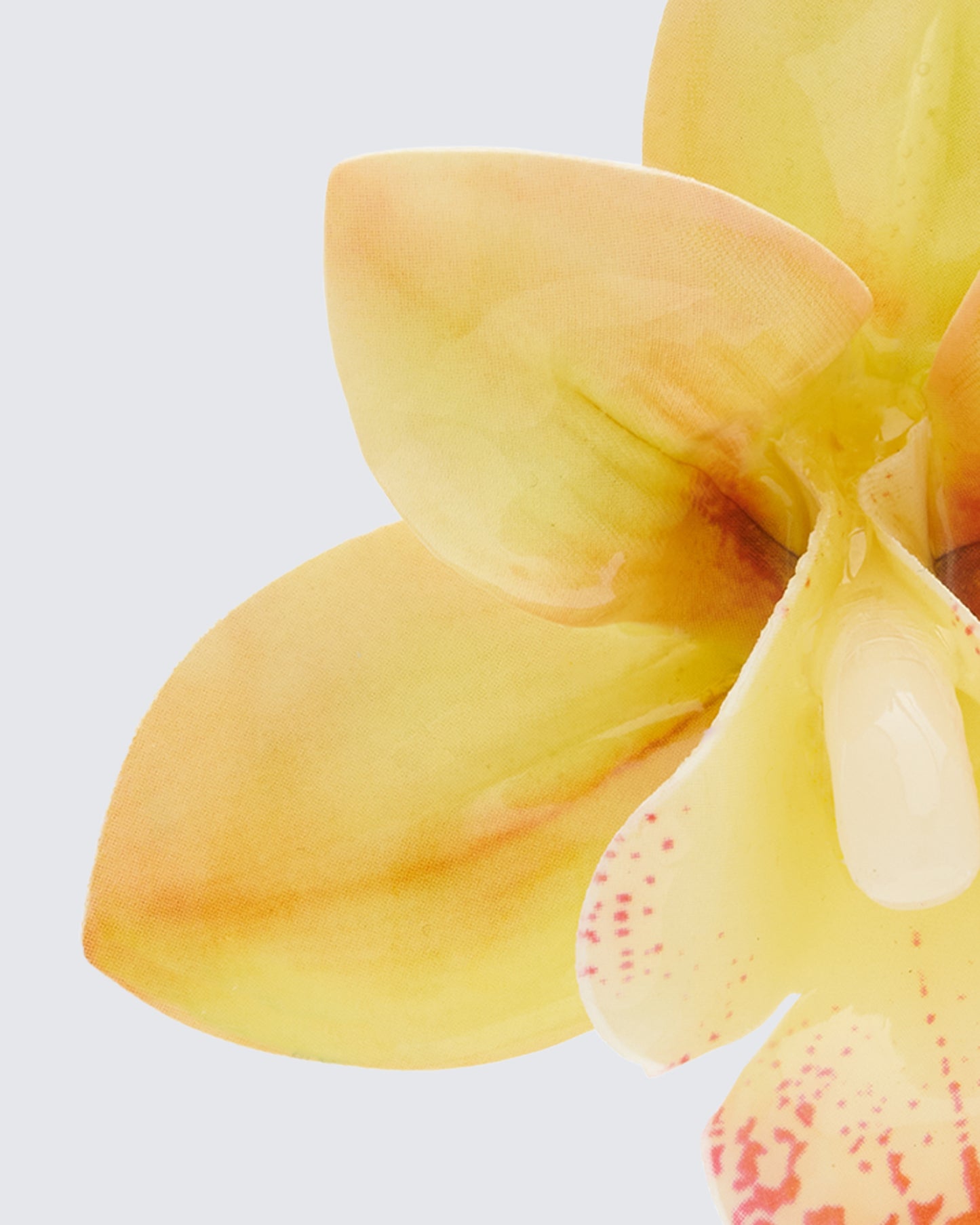 Sabine Ecru True Orchid Earrings