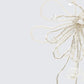 Sandra White Beaded Flower Earrings