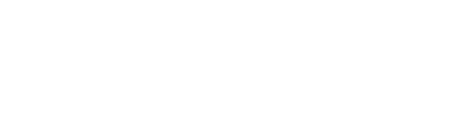 Finesse Logo